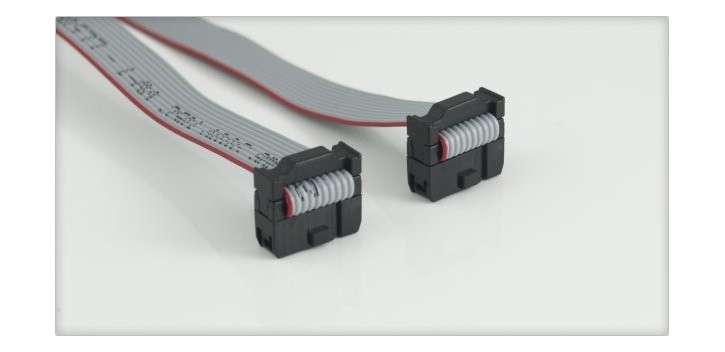 Kabel IDC 10 Pin 30Cm