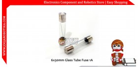 6x30mm Glass Tube Fuse 1A 250V
