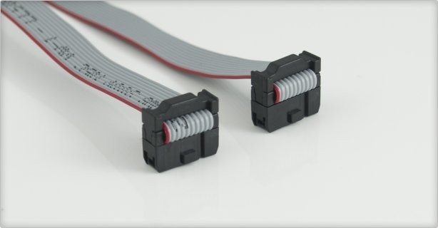 Kabel IDC 10 Pin 30Cm