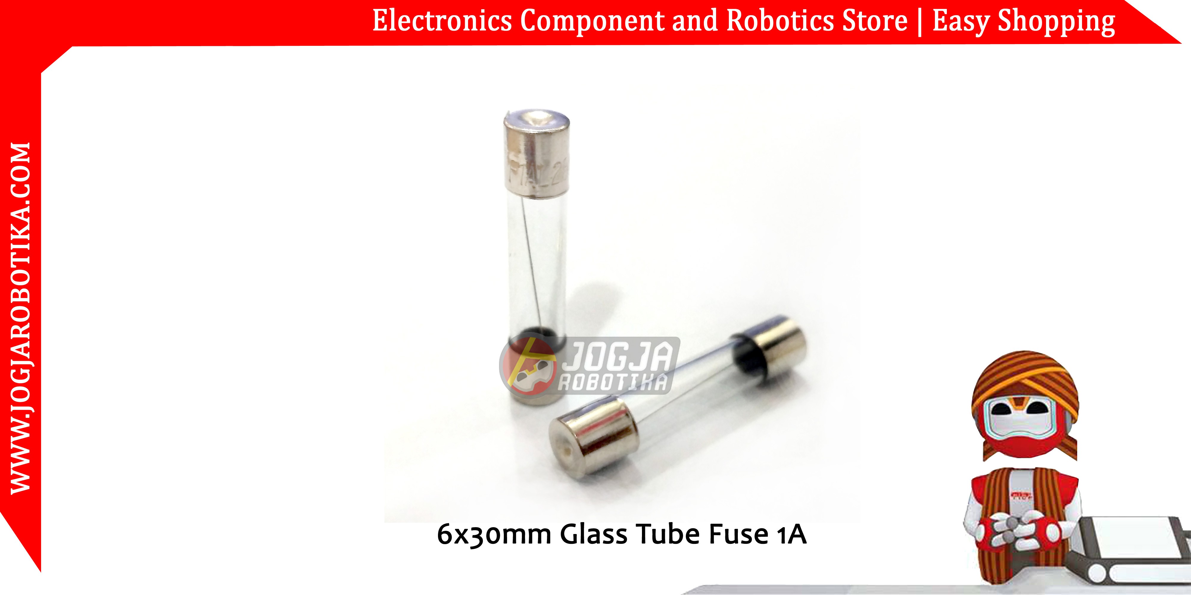 6x30mm Glass Tube Fuse 1A 250V